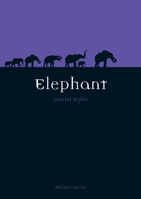 Elephant - Dan Wylie