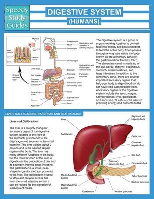 Digestive System (Humans) (Speedy Study Guide) -  Speedy Publishing LLC