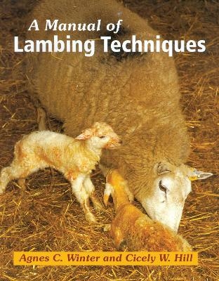 A Manual of Lambing Techniques - Cicely Hill, Agnes C Winter