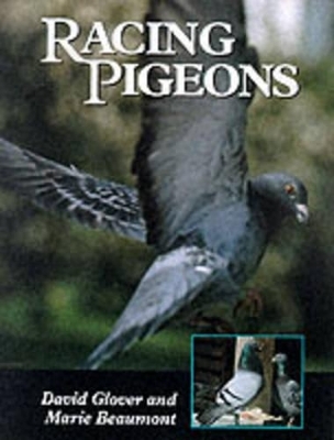 Racing Pigeons