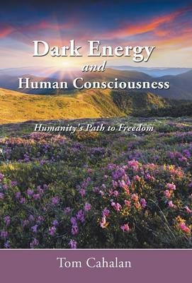 Dark Energy and Human Consciousness