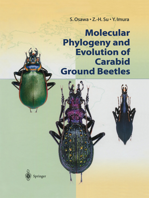 Molecular Phylogeny and Evolution of Carabid Ground Beetles - S. Osawa, Z.-H. Su, Y. Imura