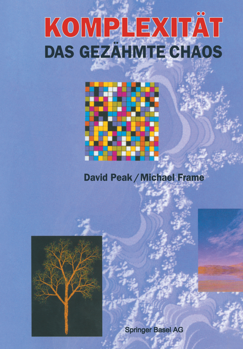 Komplexit&auml;t &mdash; das gez&auml;hmte Chaos - David Peak, Michael Frame