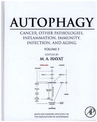Autophagy: Cancer, Other Pathologies, Inflammation, Immunity, Infection, and Aging