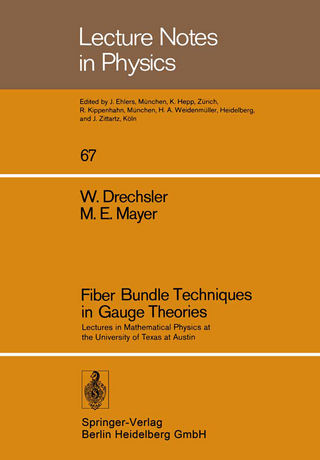 Fiber Bundle Techniques in Gauge Theories