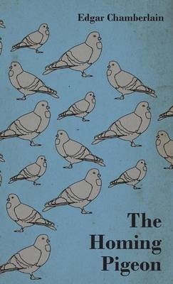 The Homing Pigeon - Edgar Chamberlain