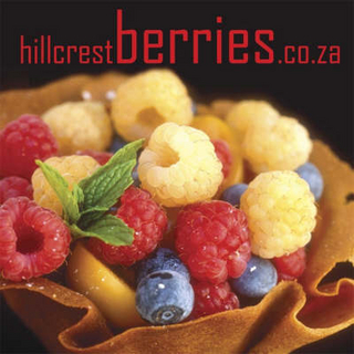 Hillcrestberries.co.za
