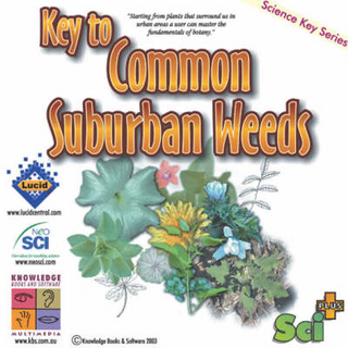 Key to Common Suburban Weeds