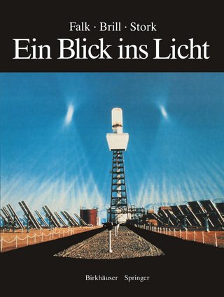 Ein Blick ins Licht
