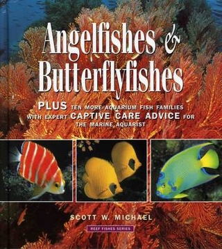 Angelfishes and Butterflyfishes