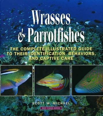 Wrasses and Parrotfishes - Scott W. Michael