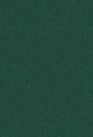 Surface & Coatings Technology