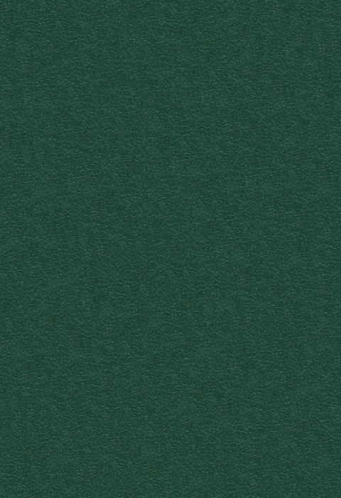 Surface & Coatings Technology - 