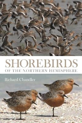 Shorebirds of the Northern Hemisphere - Richard Chandler