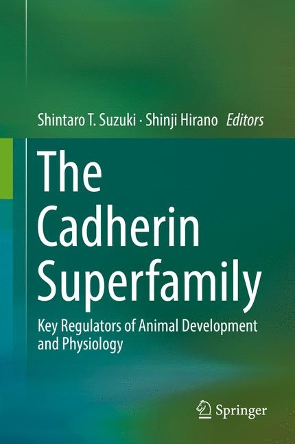 The Cadherin Superfamily - 