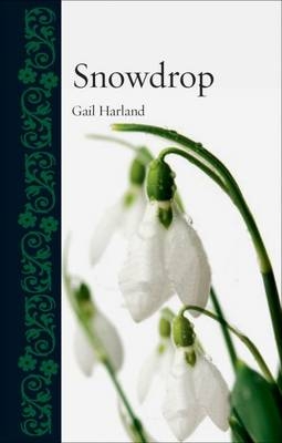 Snowdrop -  Gail Harland