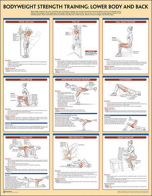 Bodyweight Strength Training Poster