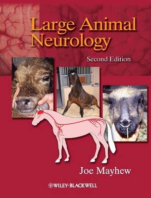 Large Animal Neurology - Joe Mayhew