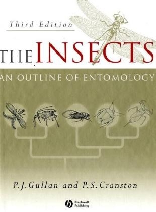 Insects