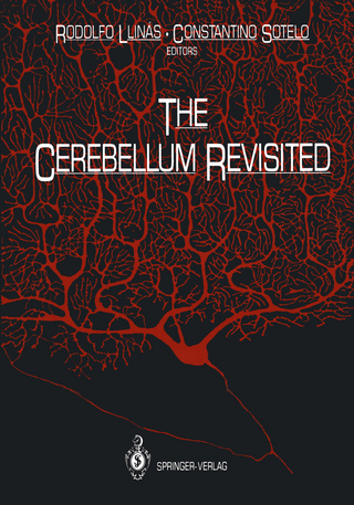 The Cerebellum Revisited