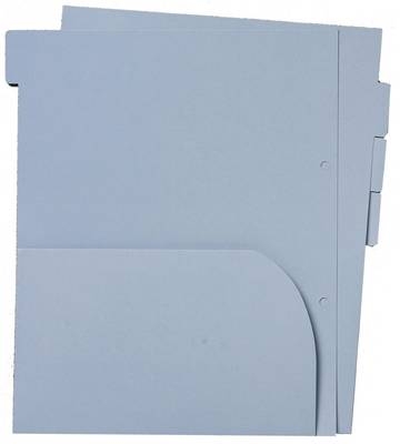 DodoPAX Pouched Dividers (4) for DodoPOD Binder (to Fit Dodo Pad or Acad-Pad Diaries)