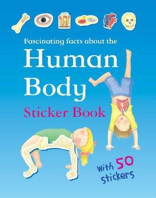 Human Body Sticker Book