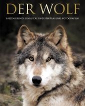 Der Wolf - Shaun Ellis