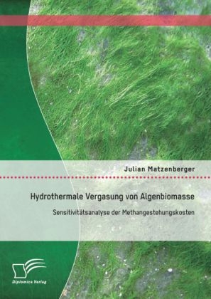 Hydrothermale Vergasung von Algenbiomasse: Sensitivit&auml;tsanalyse der Methangestehungskosten - Julian Matzenberger