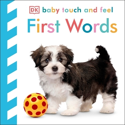 Baby Touch and Feel First Words -  Dk