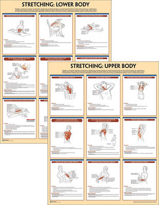 Stretching Anatomy Poster Series