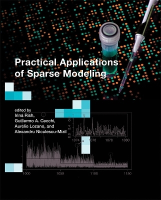 Practical Applications of Sparse Modeling - 