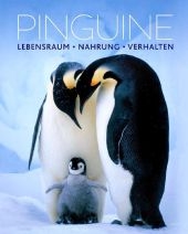 Pinguine - Daniel Gilpin