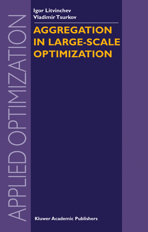 Aggregation in Large-Scale Optimization - I. Litvinchev, Vladimir Tsurkov