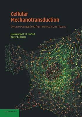 Cellular Mechanotransduction - 