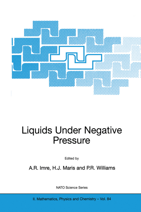 Liquids Under Negative Pressure - 