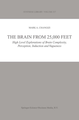 The Brain from 25,000 Feet