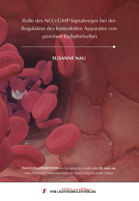 Rolle des NO/cGMP-Signalweges bei der Regulation des kontraktilen Apparates von porcinen Endothelzellen - Susanne Nau