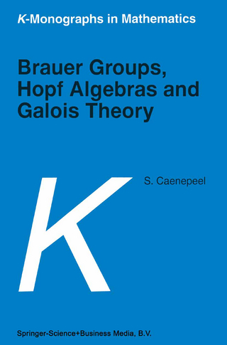 Brauer Groups, Hopf Algebras and Galois Theory