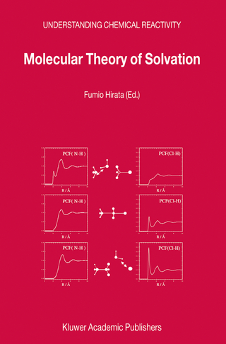 Molecular Theory of Solvation