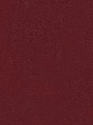 Surface & Coatings Technology