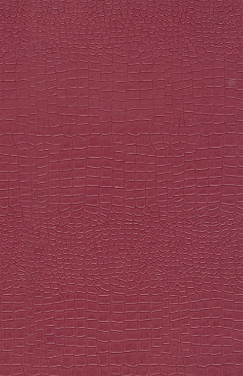 Handbook of Cosmetic Science - 