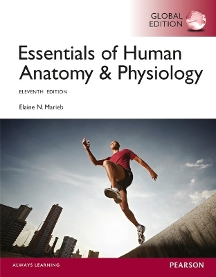 Essentials of Human Anatomy and Physiology, Global Edition -- Mastering A&P with Pearson eText