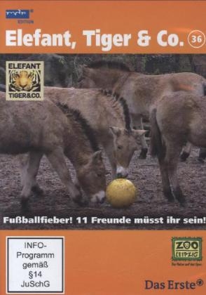 Elefant, Tiger & Co. - Fu&szlig;ballfieber! Elf Freunde m&uuml;sst ihr sein!, 1 DVD
