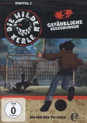 Die Wilden Kerle - Gefähliche Begegnungen. Tl.5, 1 DVD