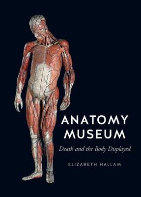 Anatomy Museum -  Elizabeth Hallam