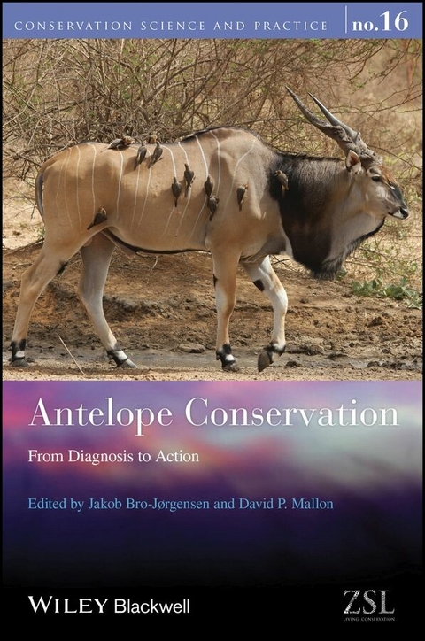Antelope Conservation - 