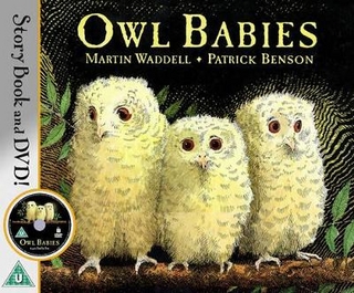 Owl Babies