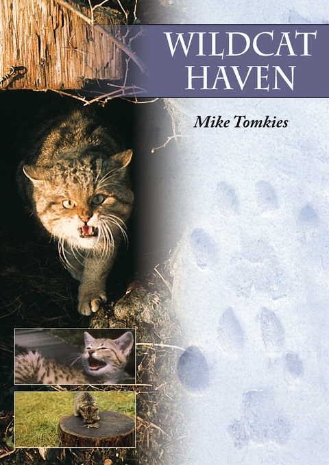 Wildcat Haven - Mike Tomkies