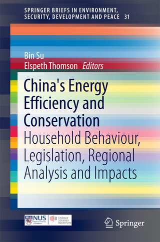 China's Energy Efficiency and Conservation