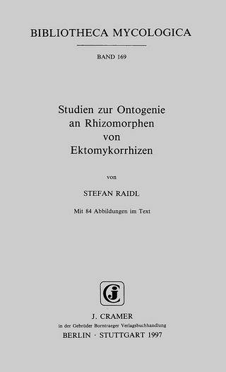 Studien zur Ontogenie an Rhizomorphen von Ektomykorrhizen